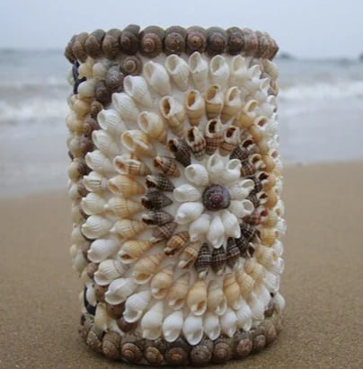 Seashell-style water cup